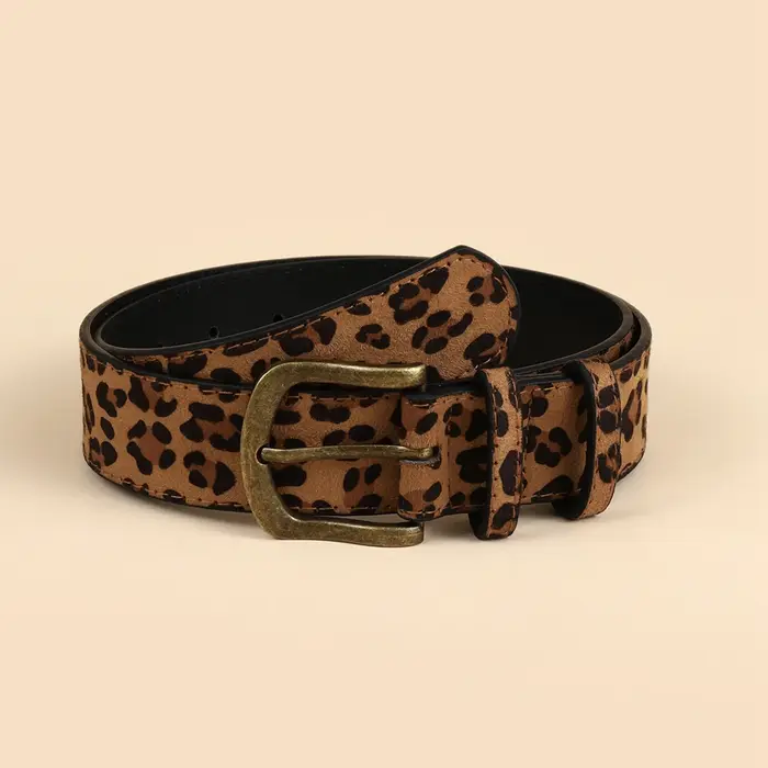 Ceinture imprimée léopard pour femme, style Boho, PU, robe couvertes, ceinture personnalisée
