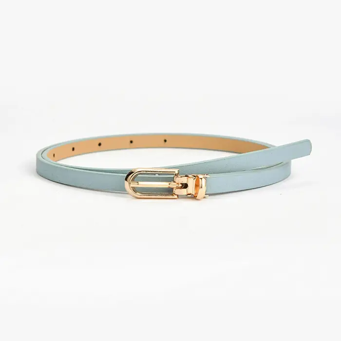 Nouvelles femmes ceintures mode réglable en cuir Pu ceinture mince pour les filles boucle en or sangle robe chandails manteaux ceintures de taille maigres
