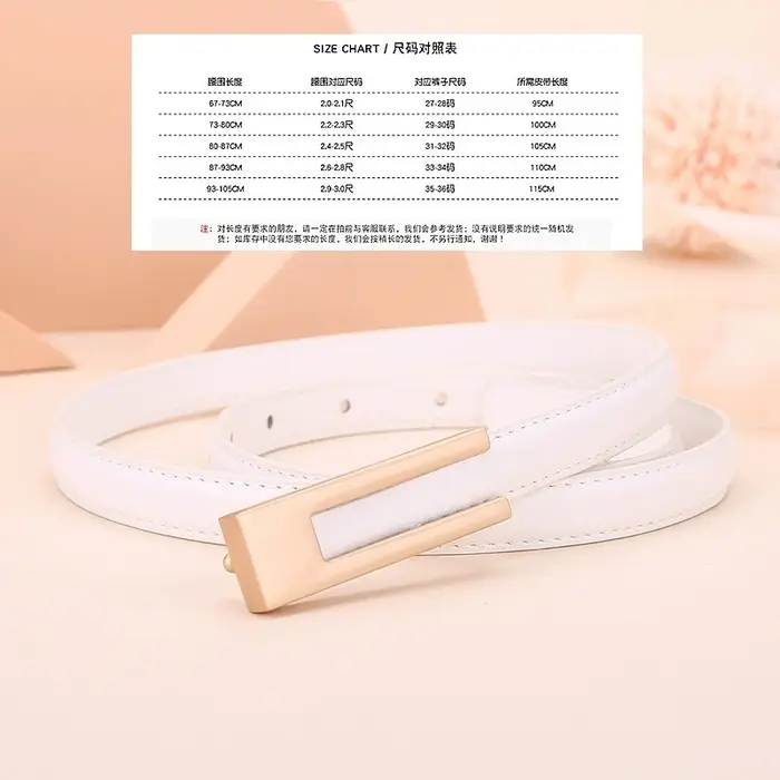 Ceinture en cuir de vachette pour femmes ; Ceinture fine pour la taille ; Décoration polyvalente ; Robe amincissante ; Accessoire de costume ; Ceinture pour femmes