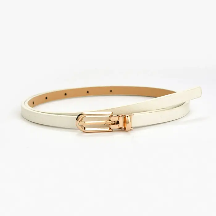 Nouvelles femmes ceintures mode réglable en cuir Pu ceinture mince pour les filles boucle en or sangle robe chandails manteaux ceintures de taille maigres