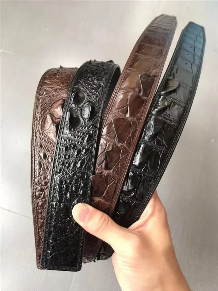 Ceintures marron en peau de crocodile authentique pour hommes