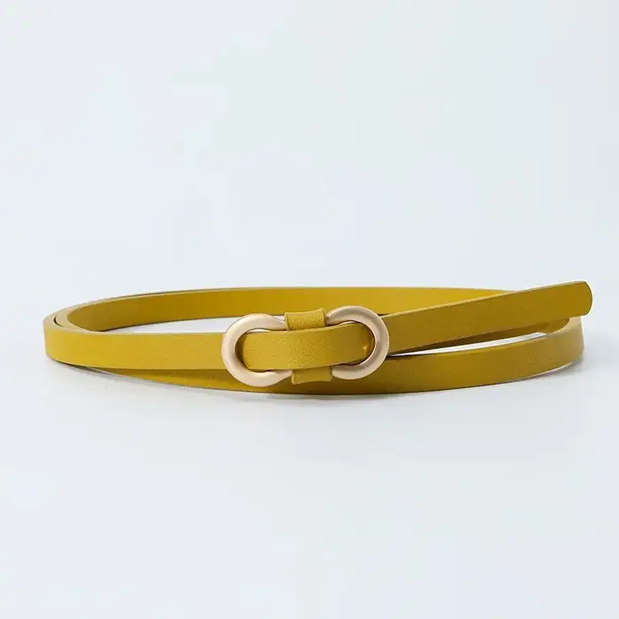 Ceinture nouée en cuir PU vintage pour femme, ceinture de robe décorative, environnement fin, couleu