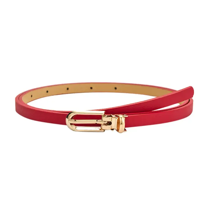 Nouvelles femmes ceintures mode réglable en cuir Pu ceinture mince pour les filles boucle en or sangle robe chandails manteaux ceintures de taille maigres