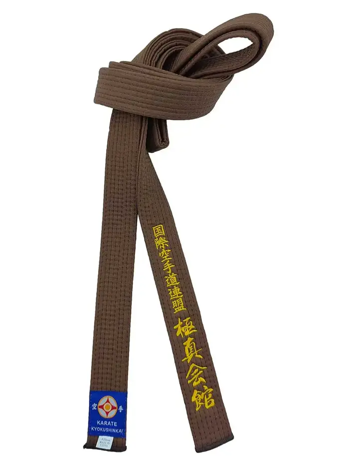 Kyokushi-Ceinture de documents sportifs unisexe, transformation personnalisée des arts martiaux, étiquette de texte brodée, logo de la Fédération internationale de karaté